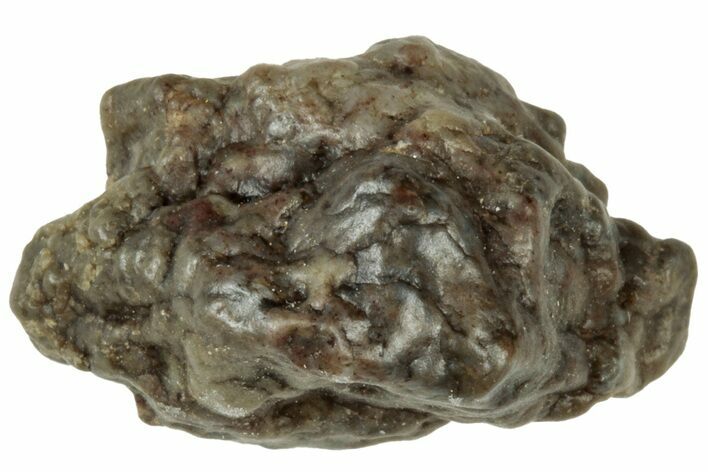 Lunar Meteorite ( g) - Laayoune #313127